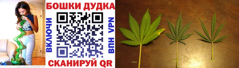 Канабис план как найти закладки Михайлов